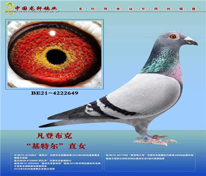 母亲