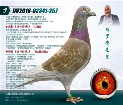 父亲