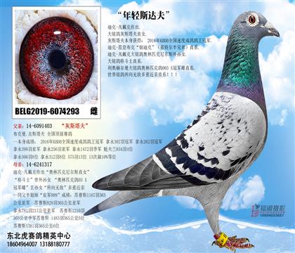 母亲