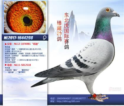 母亲
