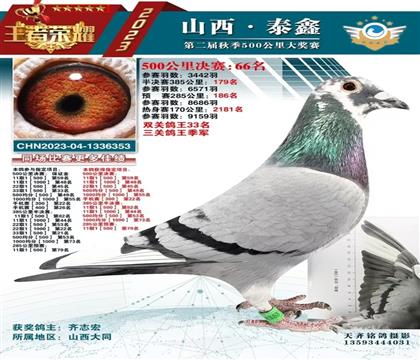 同窝