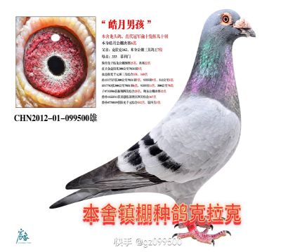 外祖父
