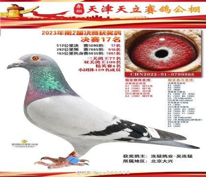 决赛17名