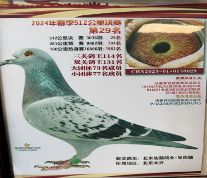 同父兄妹