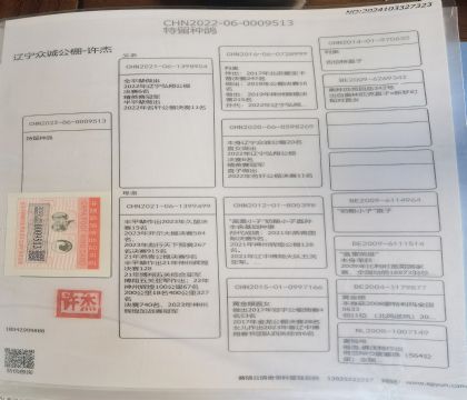 父亲血统