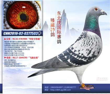 母亲