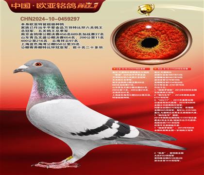 盖比原舍鲁迪148X鲁迪098