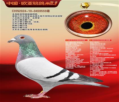 盖比原舍新闪电号直子323X鲁迪直女184