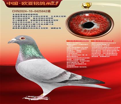 詹森427直子老雄919X直女760金母近亲