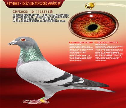 路易斯凡龙778X凡龙333近亲