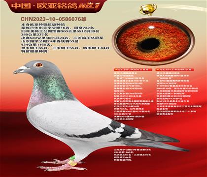 盖比原舍鲁迪直子030X新闪电号直女398