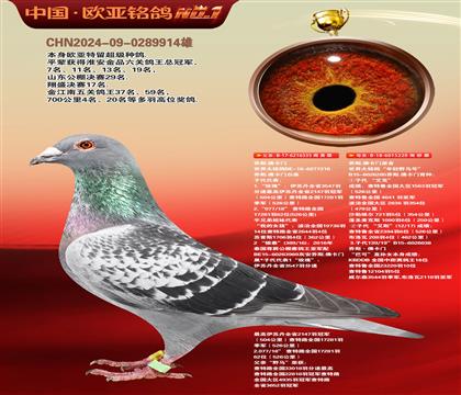 乔斯佛卡门原舍335X220