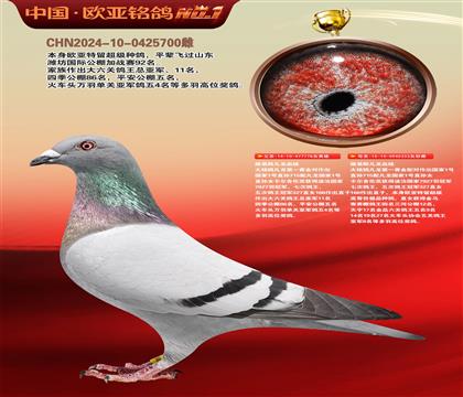 路易斯凡龙778X凡龙333近亲