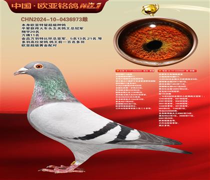 保时捷911血统555X保时捷889