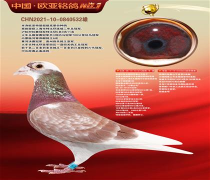 西佛托依泰山376 × 泰山电脑金母665