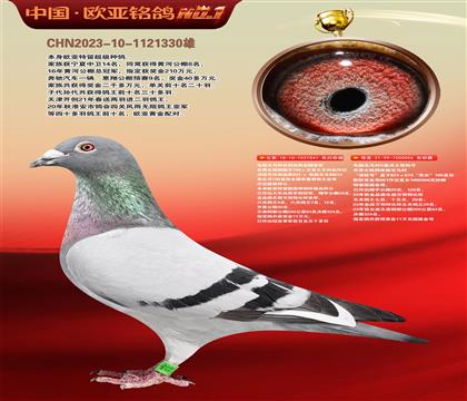 电脑041X桑杰士006