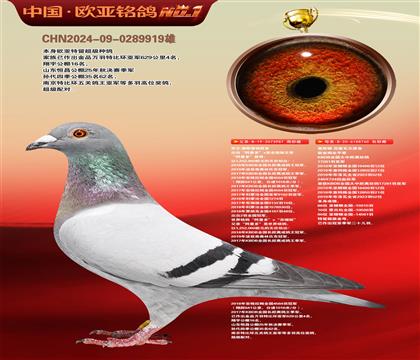 乔尔佛斯豪特原舍987X葛斯顿原舍760