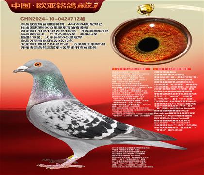 利奥波尔特亚精顿444×超级金母麻鹰804