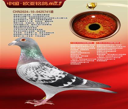 施霍龄尼可号956×施霍龄尼可号889
