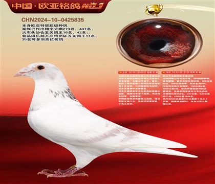 西佛依托全国冠军泰山号多重近亲357X133