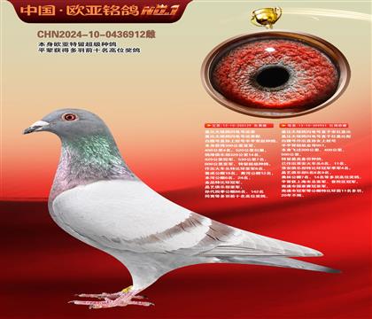 红盖比129X951双重近亲公棚利器