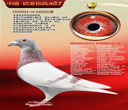 迪克凡登布克原舍387X401基特尔