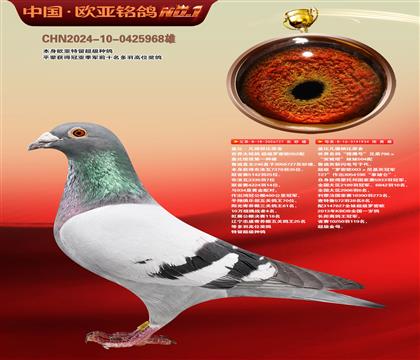 盖比原舍超级罗密欧直子727X猎鹰号934