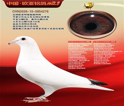 乔斯托内白雪公主683X209