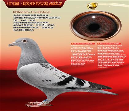 利奥506X杨713直子757X利奥851X818直女697
