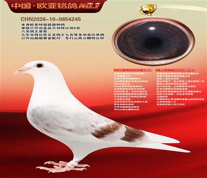 西佛依托全国冠军泰山号多重近亲419X076