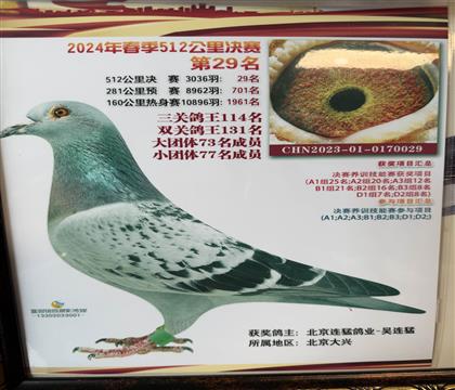 镇棚种雌 天津天立春棚决赛29名