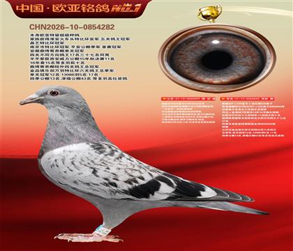 詹森919直子999X詹森766直女840