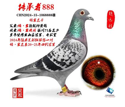 珍品:镇棚种雄“悟空”直子888