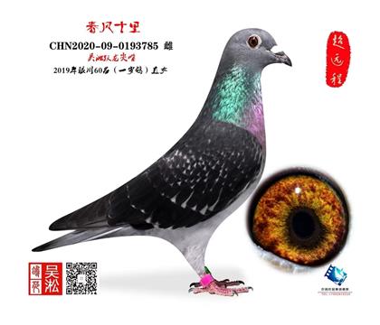 吴淞小尖嘴:银川60名直女,天水24名平辈