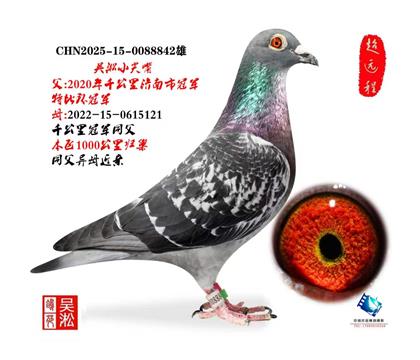吴淞小尖嘴:千公里冠军直子