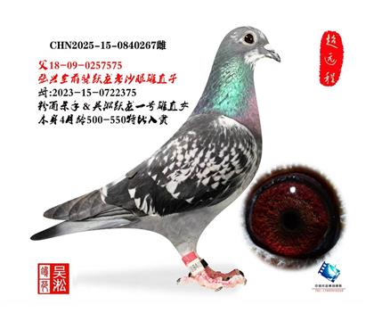 吴淞跃龙267