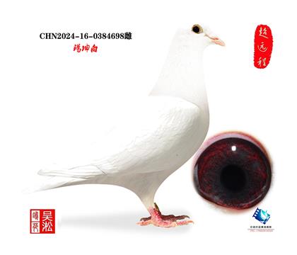 外援:锡堃白