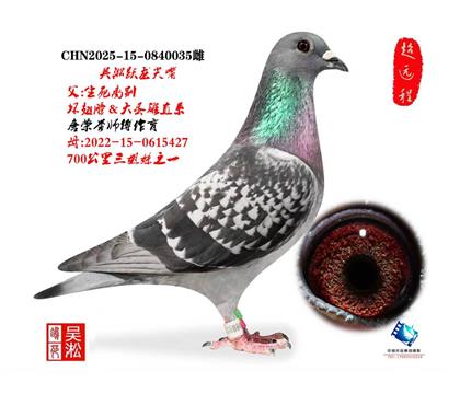 吴淞小尖嘴 035