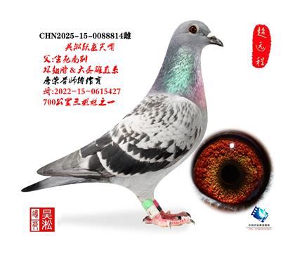 吴淞小尖嘴