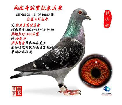 吴淞跃龙:两跑千公里680直子