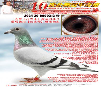 苏维“八关王”近亲回血×最后詹森“公主号”近亲回血