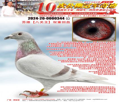 苏维“八关王”双重回血