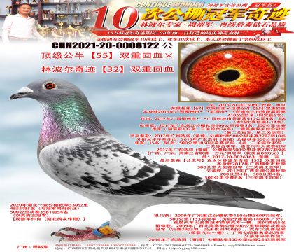 顶级公牛“55”双重回血×林波尔奇迹“32”双重回血
