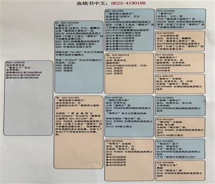 中文翻译