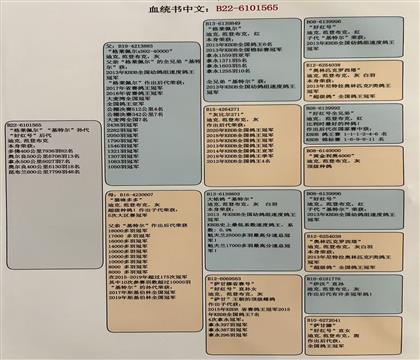 中文翻译