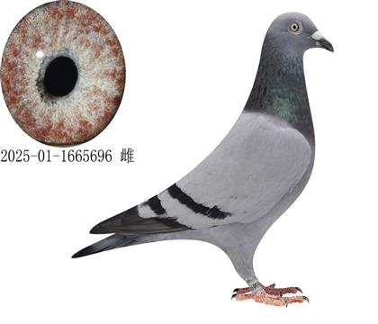 ������̫���ǹ���352��ֱŮ