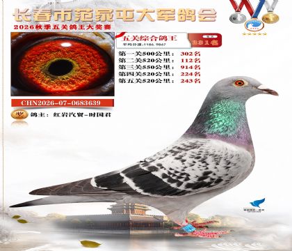 ��������1000����ظ���231��
