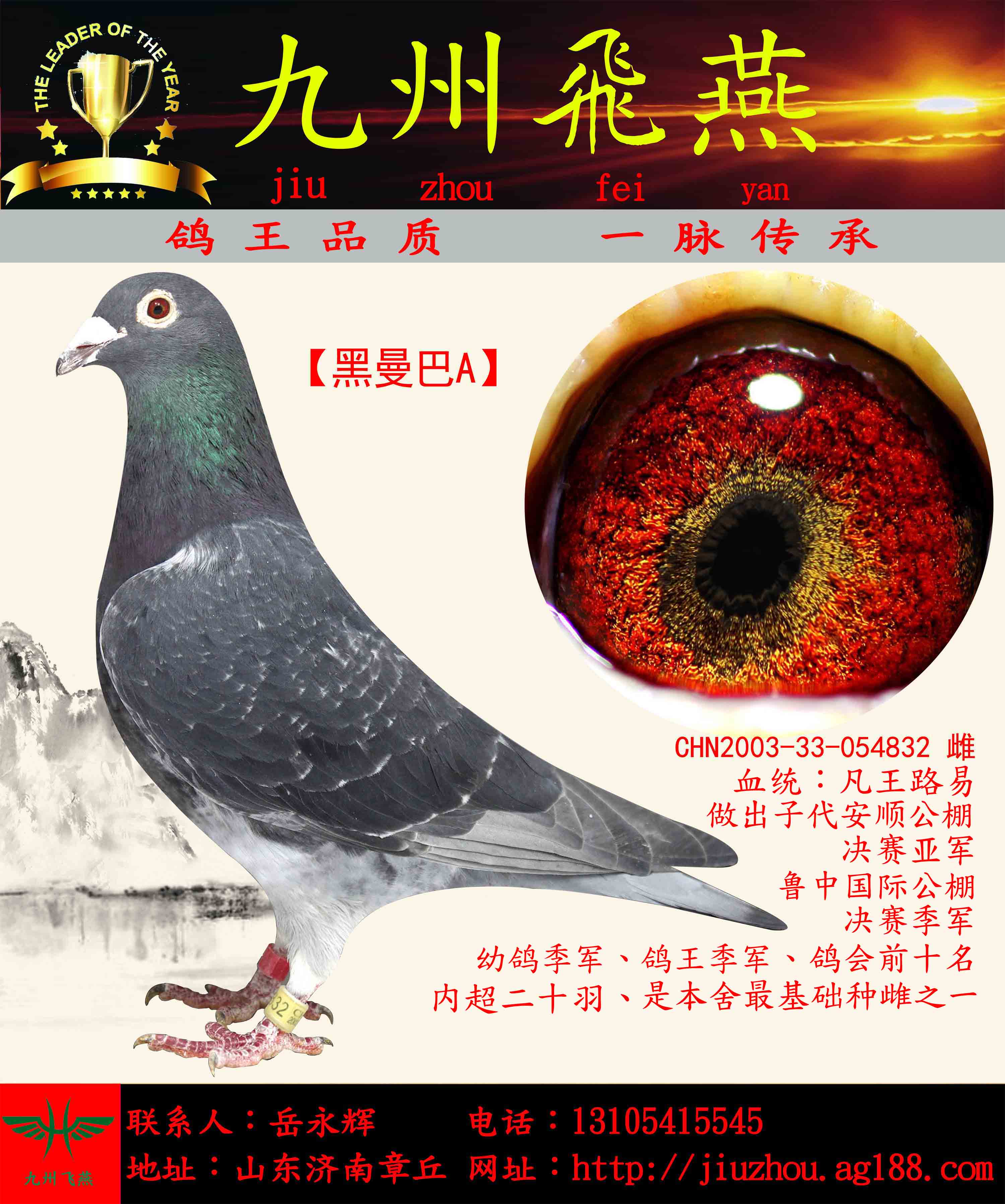 信鸽在线拍卖平台