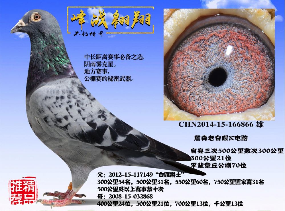 詹森老白眼x电脑戈马力 保证金级 拍卖