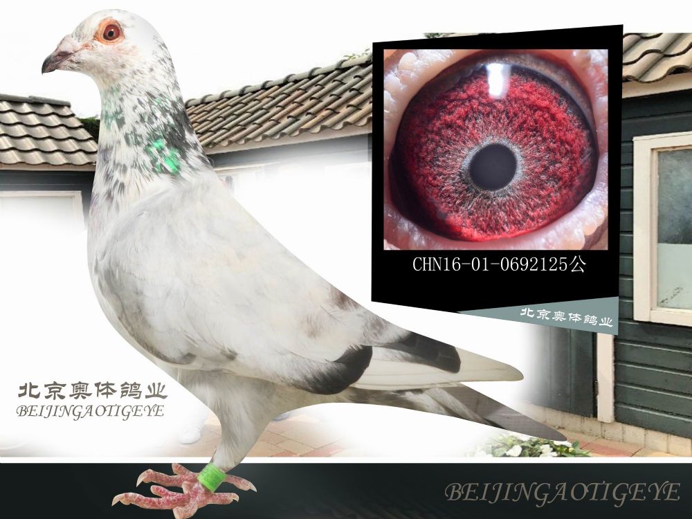 >> 查看拍卖商品